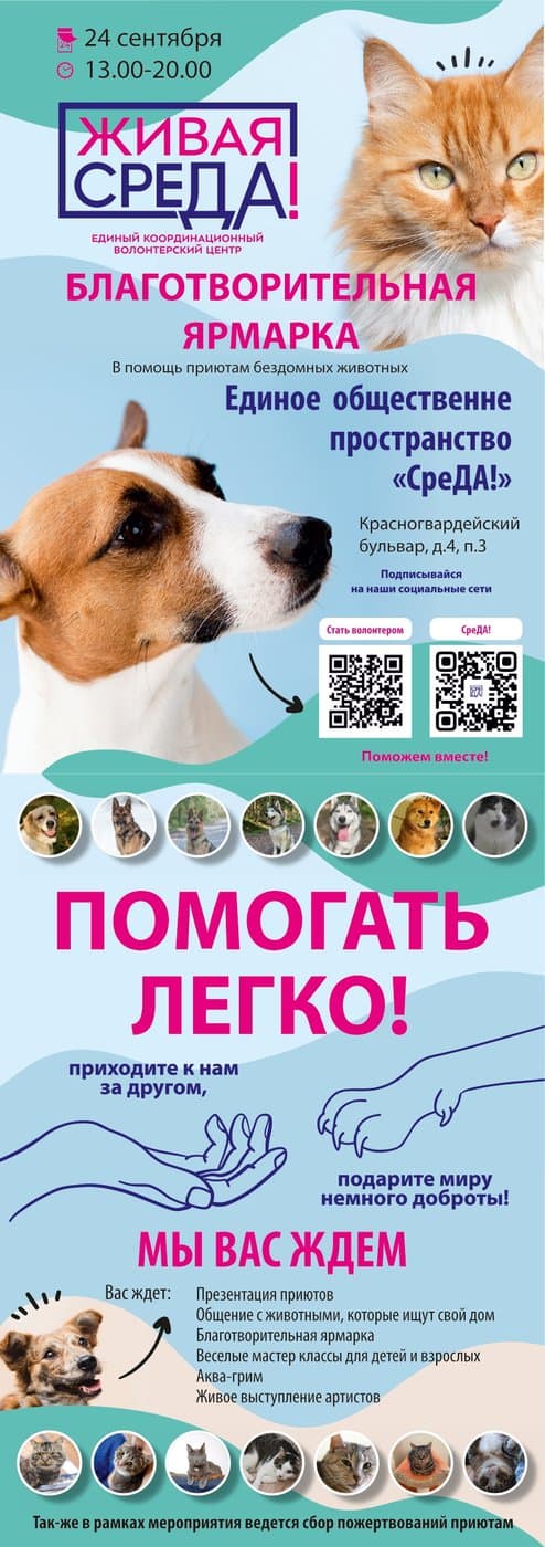Ярмарка в помощь приютам бездомных животных пройдет в Санкт-Петербурге